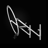 Swing Eagle Trainer